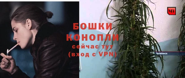 крисы Нягань