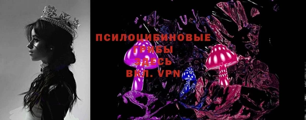 дурь Няндома