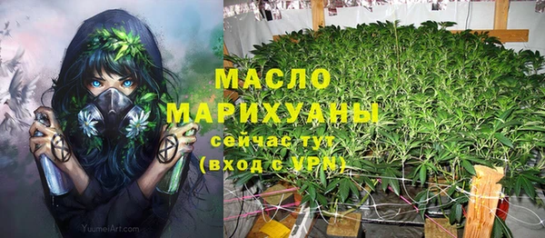 дурь Няндома