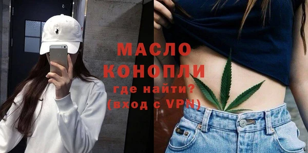 дурь Няндома
