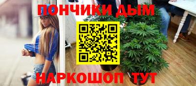 индика Аргун