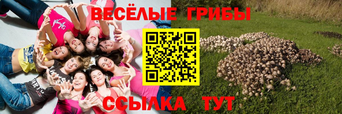 Галлюциногенные грибы Magic Shrooms  Галлюциногенные грибы Magic Shrooms  Невинномысск 