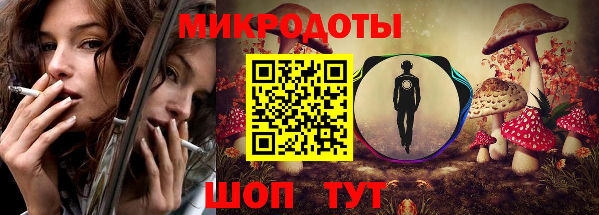 Псилоцибиновые грибы Psilocybine cubensis Невинномысск